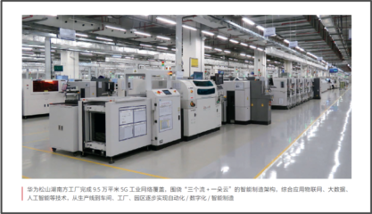 华为2020 “胡杨”报告——网络技术服务的坚守与新生